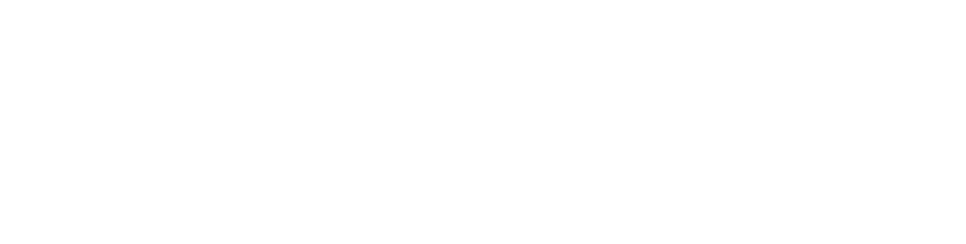 ZICCO VIỆT NAM